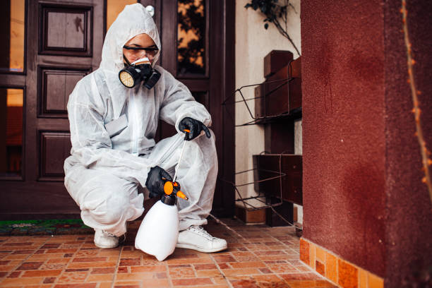 Reliable Wasp Removal contractor in Fincastle, TN by Show Me Pest Control